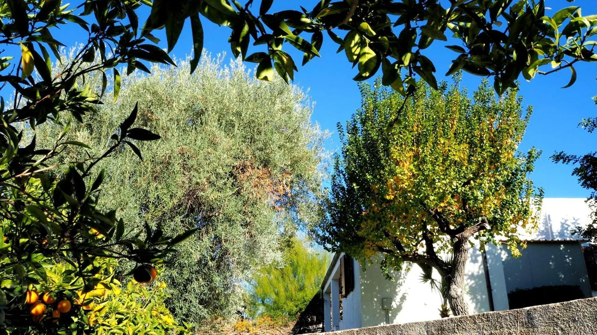 Villa Chicca Fontane Bianche Apartmán